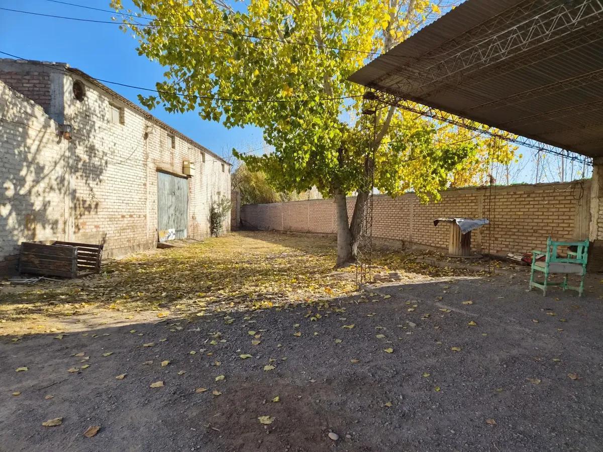 Foto de Galpones y Casa en Venta - Maipú, Mendoza, imagen 4
