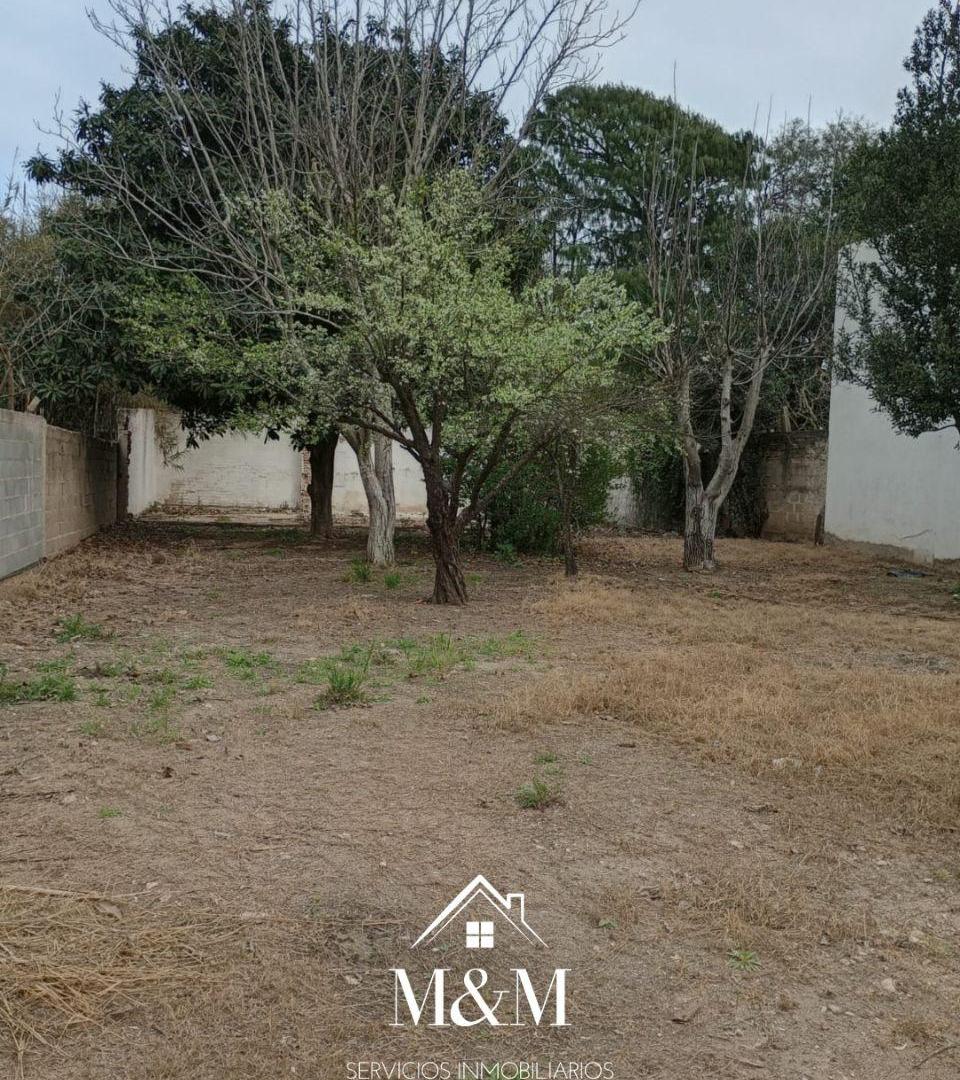Foto de -LOTE EN ALQUILER CON OPCION A COMPRA, -BARRIO VILLA QUISQUIZACATE., imagen 5