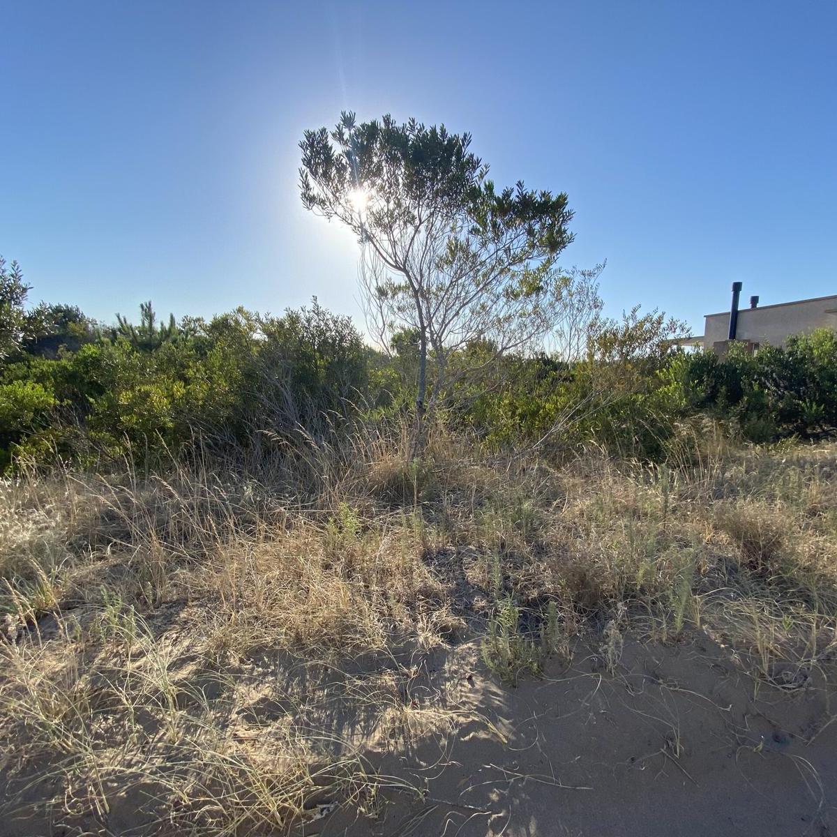 Terreno en Venta en Costa Esmeralda Golf 4