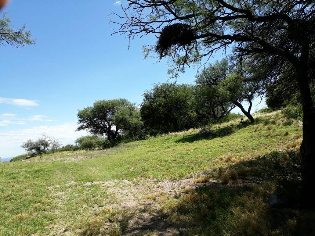Campo de 25 Hectáreas en San Luis con Frente Sobre La Autop 5