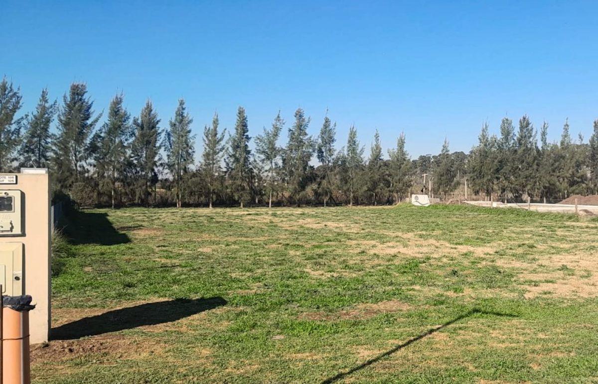Foto de AMPLIO LOTE EN HERMOSO BARRIO PRIVADO, imagen 4