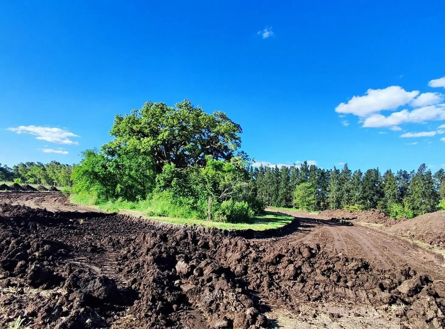 Terreno Parcela  en Venta en Alto Los Cardales, Campana, G.B.A. Zona Norte 5