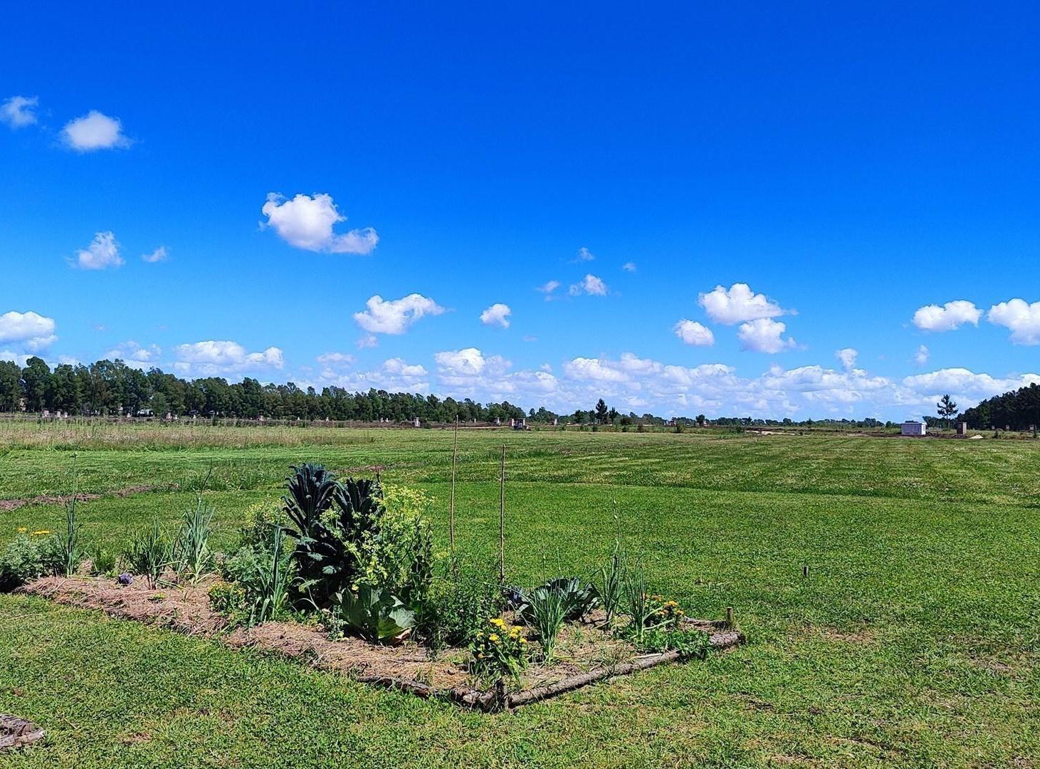 Foto de Terreno Parcela en Venta en Alto Los Cardales, Campana, G.B.A. Zona, imagen 5