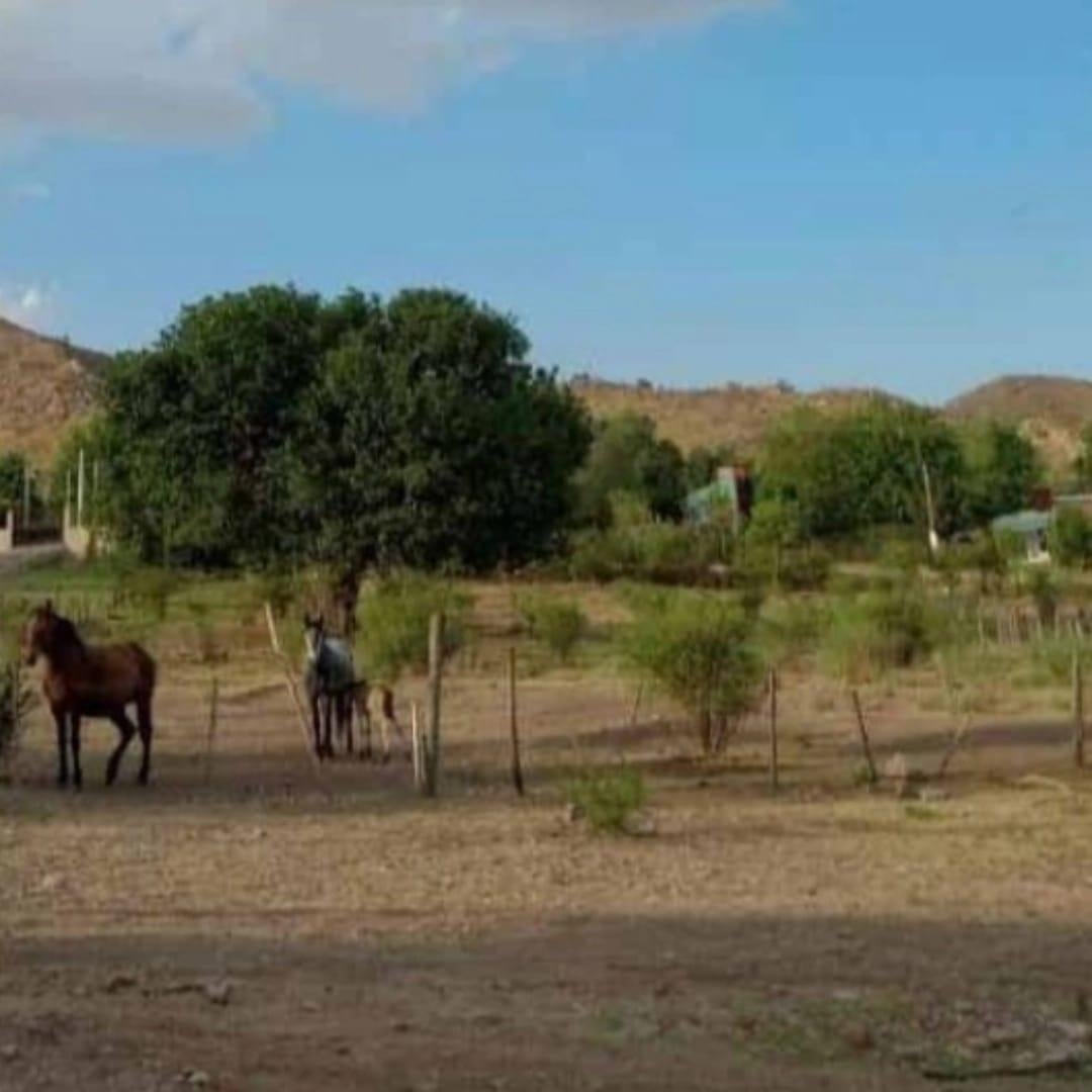 Foto de Oportunidad Lote en estancia Grande san Luis, imagen 5
