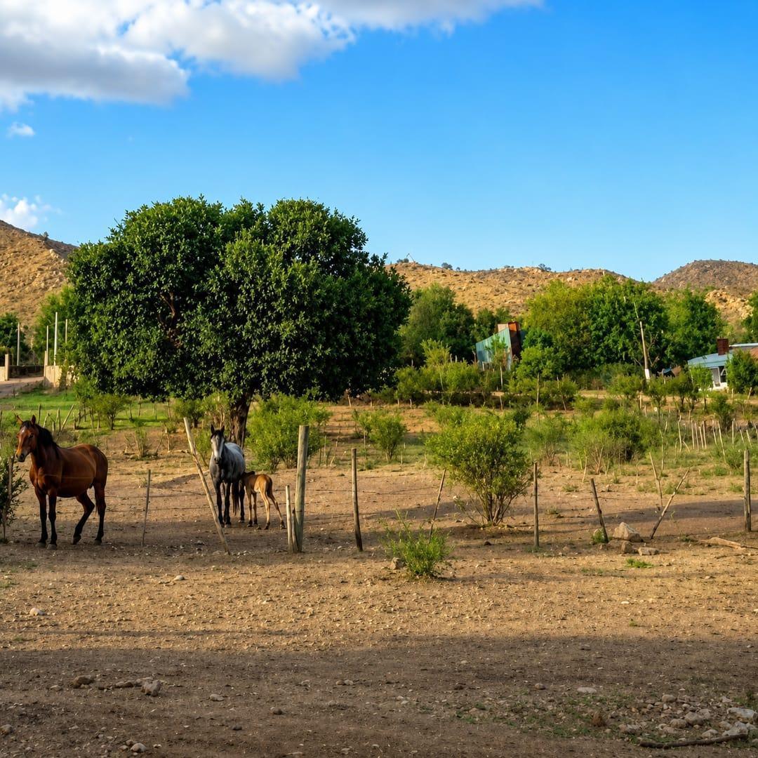 Foto de Oportunidad Lote en estancia Grande san Luis, imagen 2