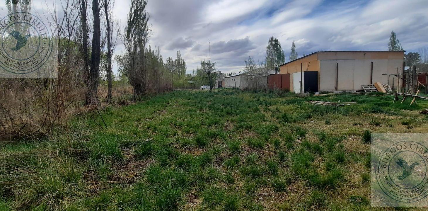 Foto de Terreno en Plottier, imagen 5