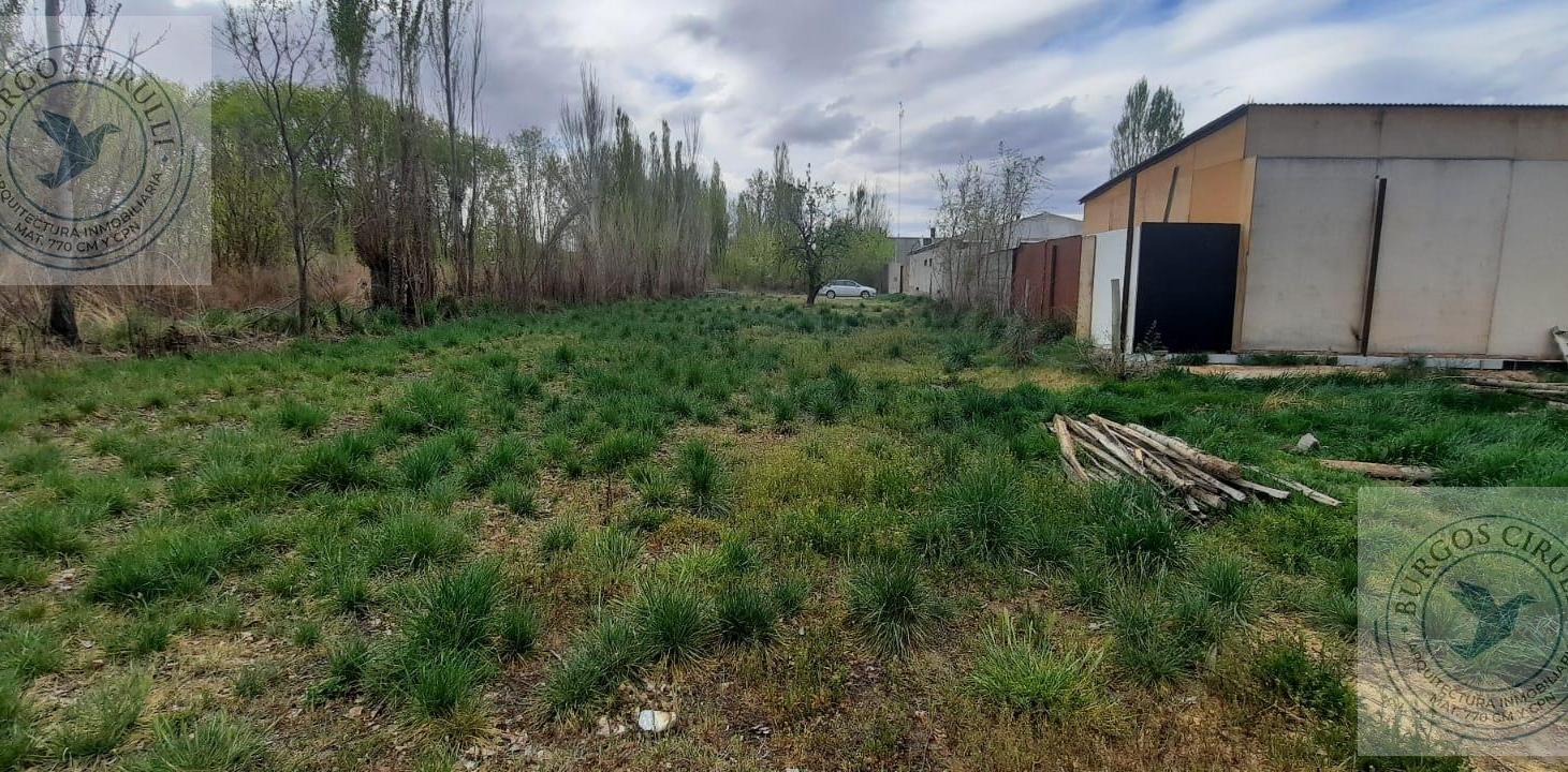 Foto de Terreno en Plottier, imagen 4