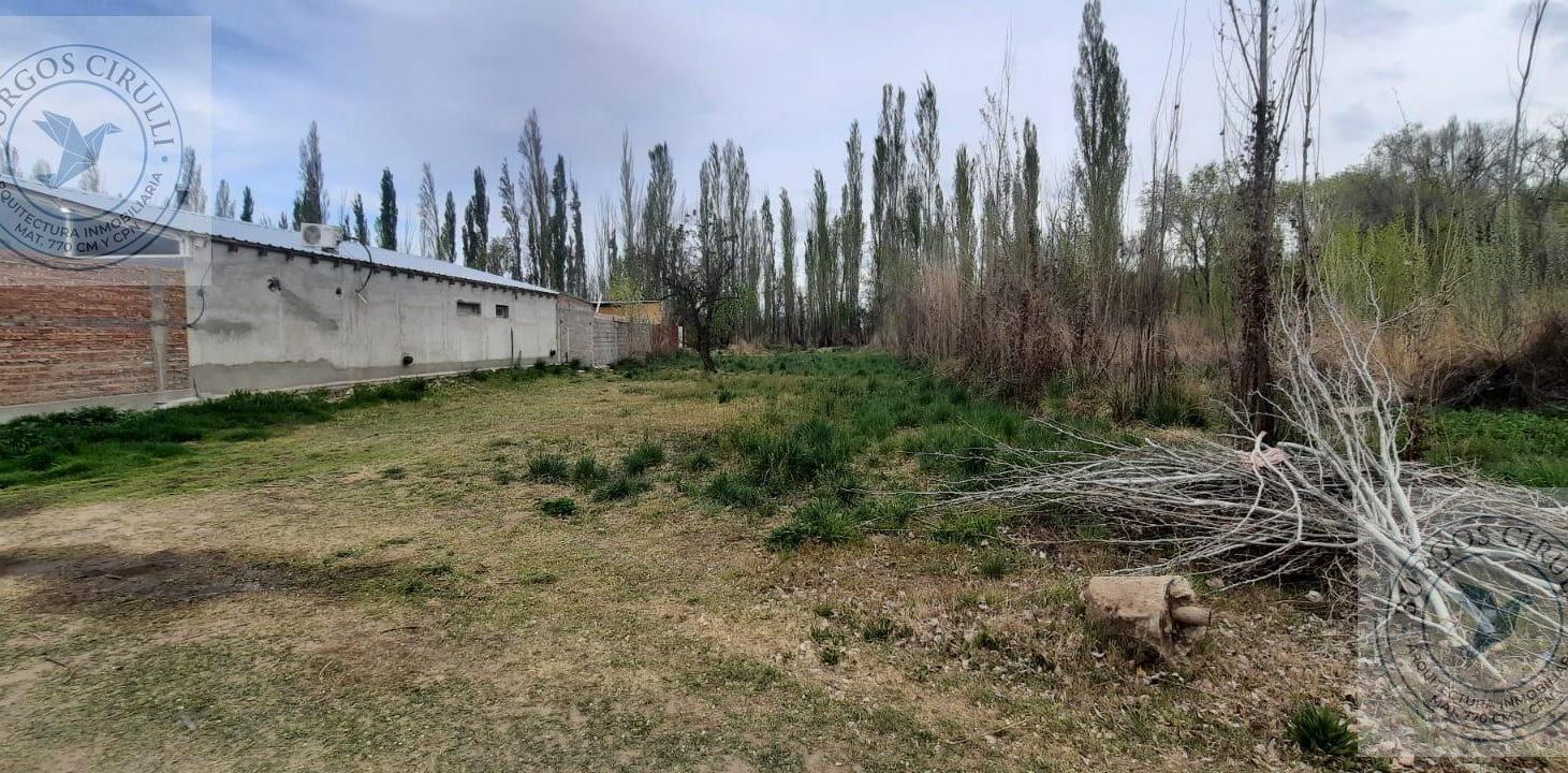 Foto de Terreno en Plottier, imagen 3