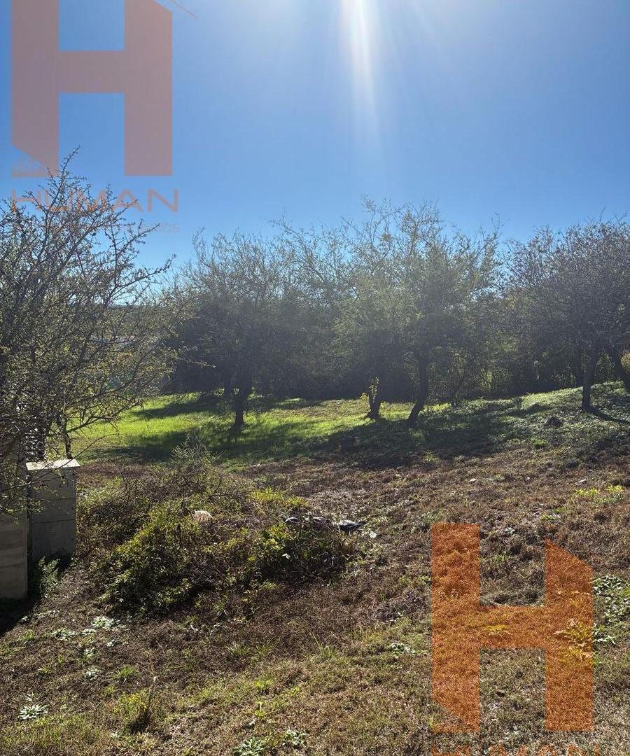 Foto de B° MOLINOS DE VIENTO - MENDIOLAZA, imagen 2
