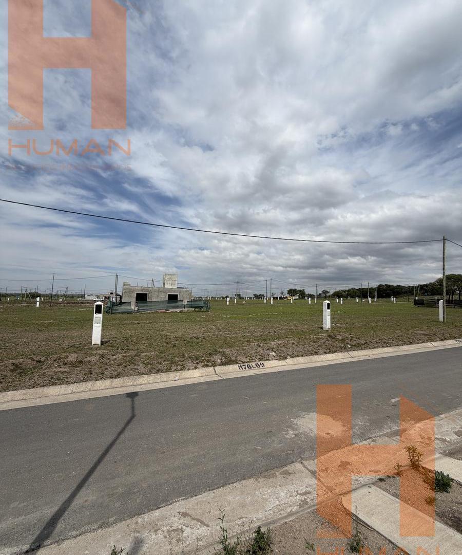 Foto de EXCELENTES LOTES 260 MTS IDEAL PROYECTO, imagen 1