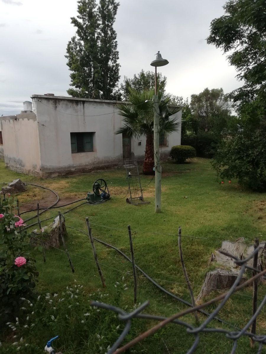 Hermosa Quinta de Ciruelos en San Martín 2
