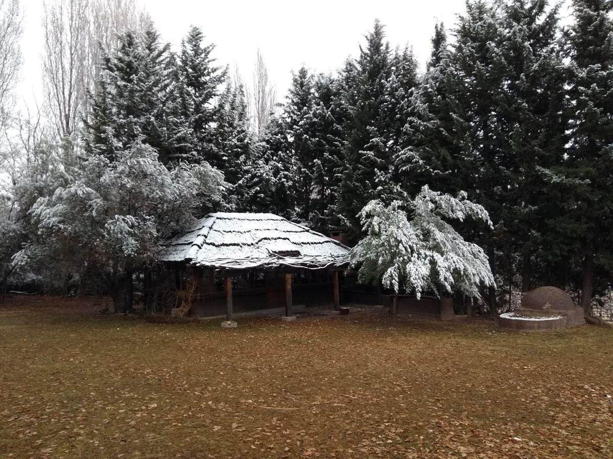 Se Vende Bodega Artesanal en Perdriel - Mendoza 3