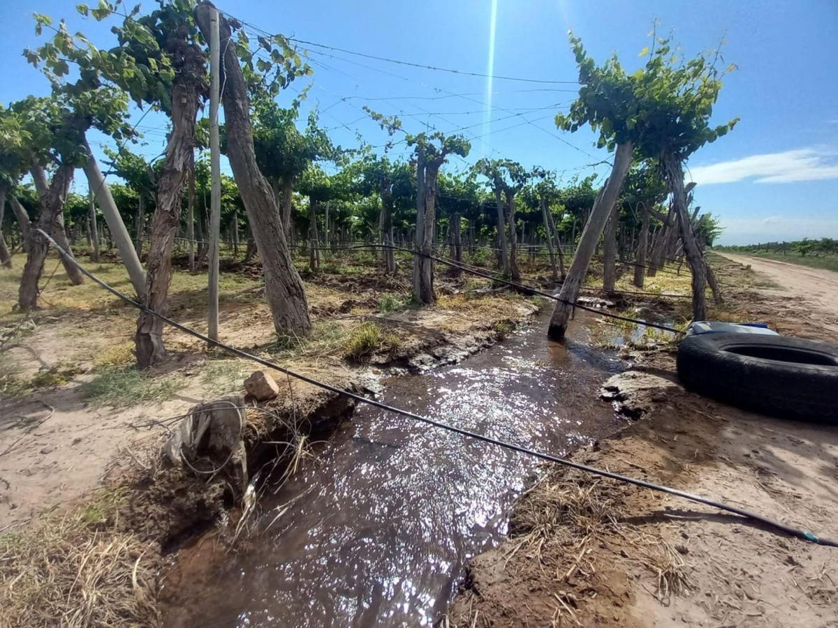 Inversión Vitícola/ Turística en Lujan de Cuyo 5