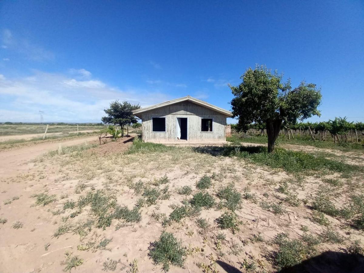Inversión Vitícola/ Turística en Lujan de Cuyo 2