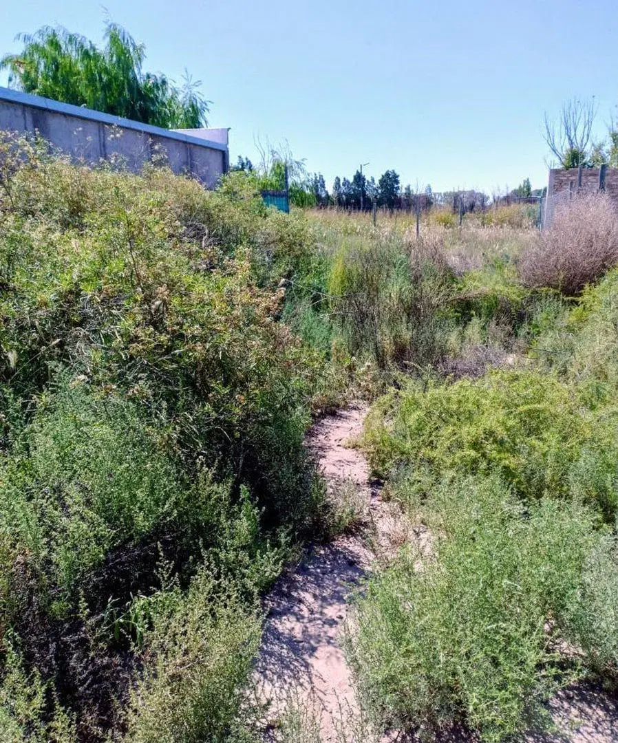 Vendo Lote Barrio Privado Guaymallén 5