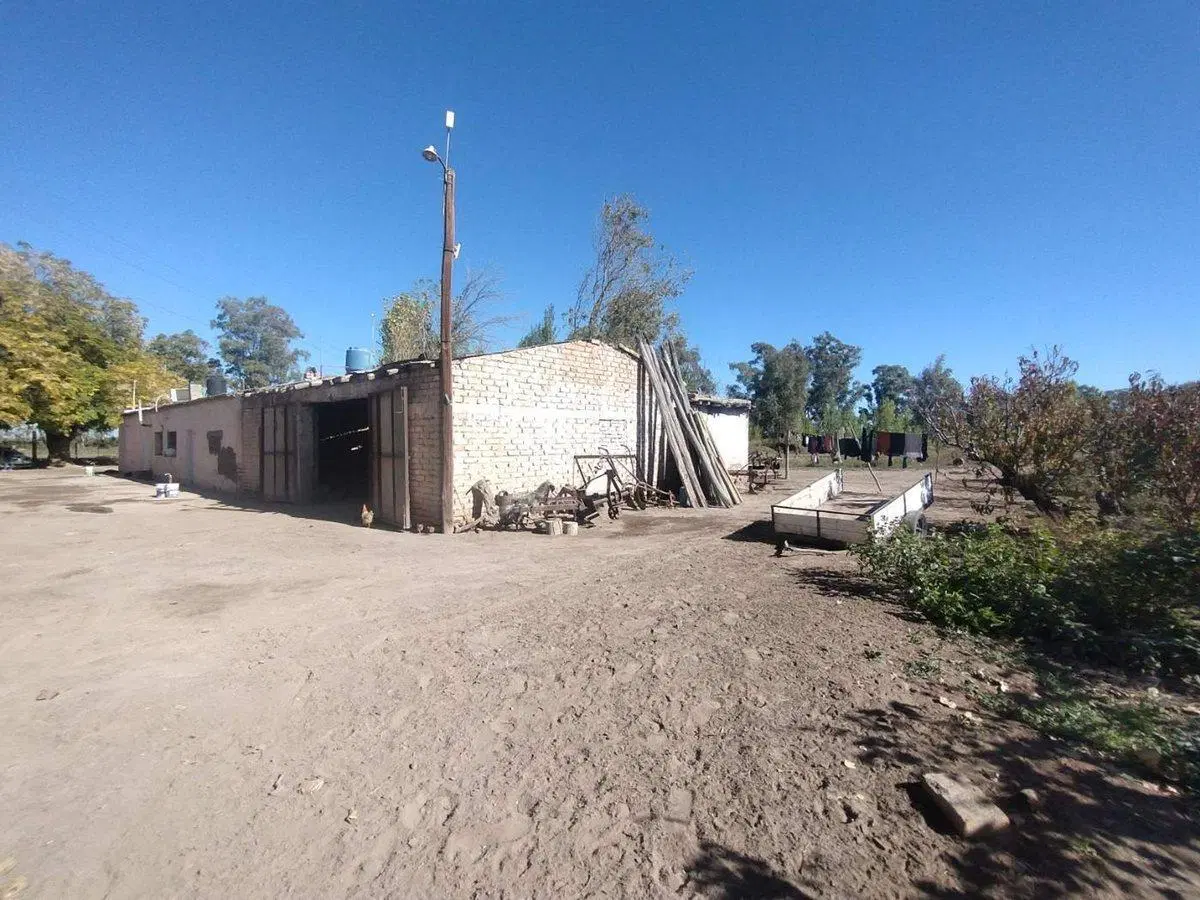 Venta de Finca en La Dormida, Santa Rosa, Mendoza 4
