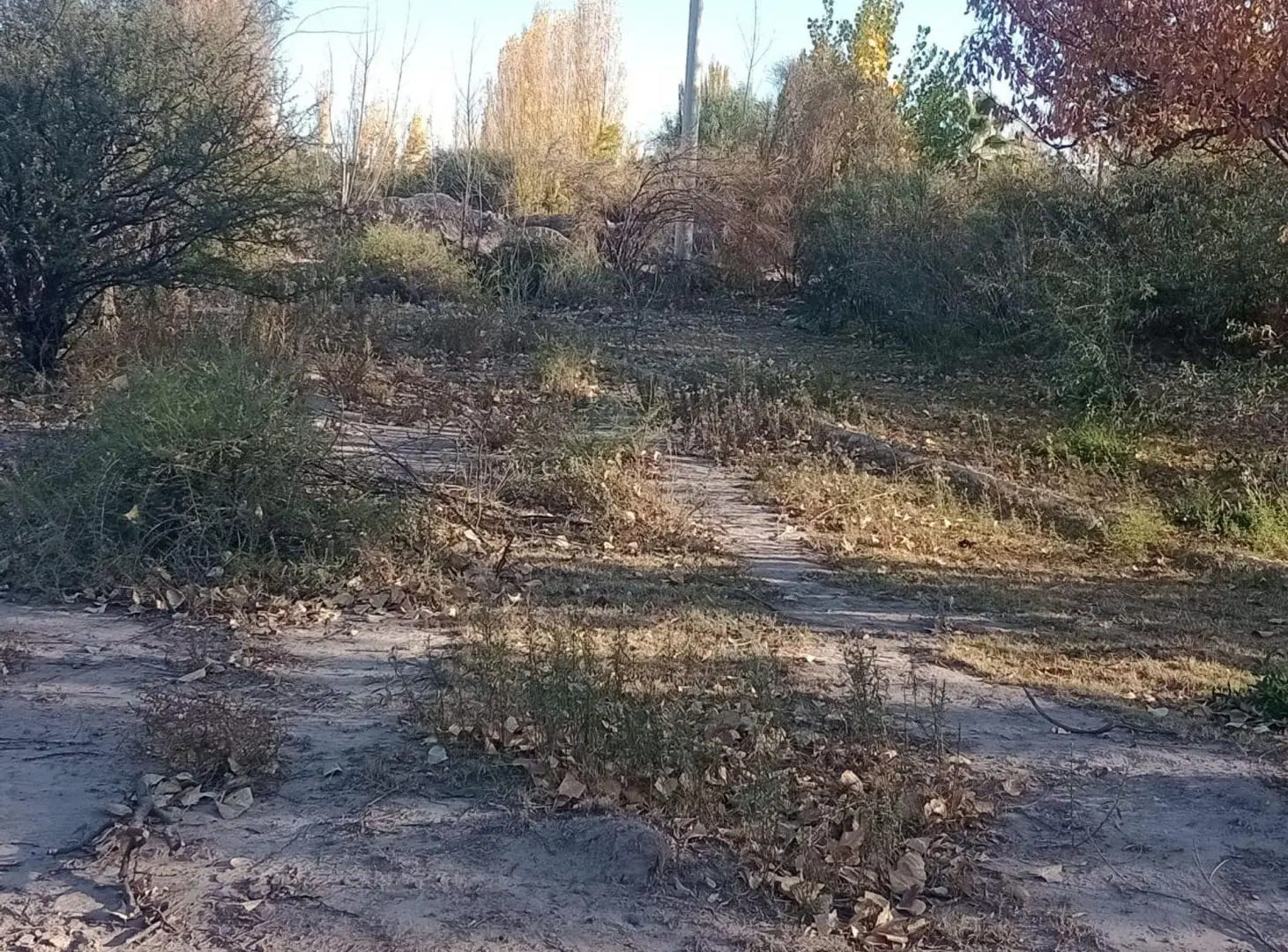 TERRENO EN VENTA LULUNTA 3