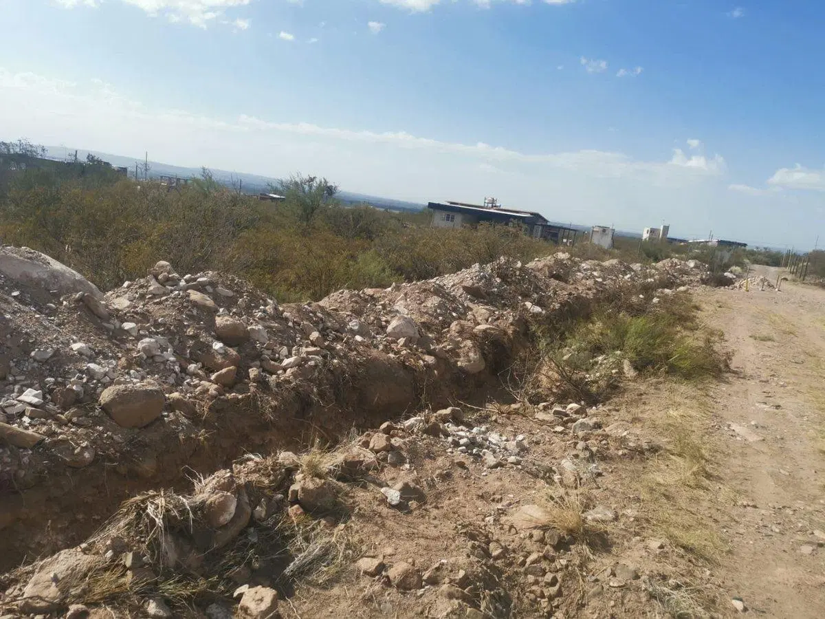 LOTE LA MAGDALENA OLIVAR 2
