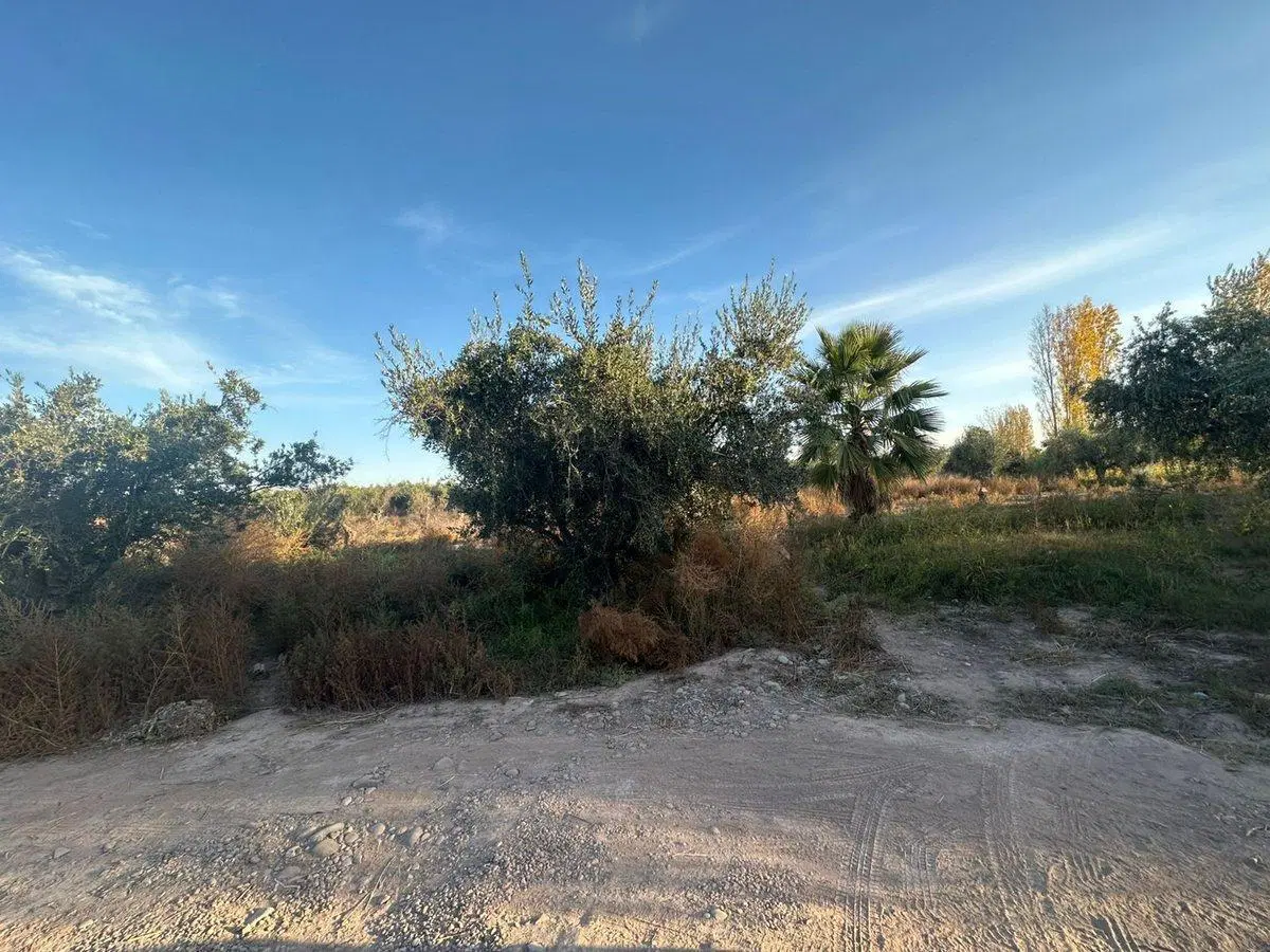 Terreno en venta 5