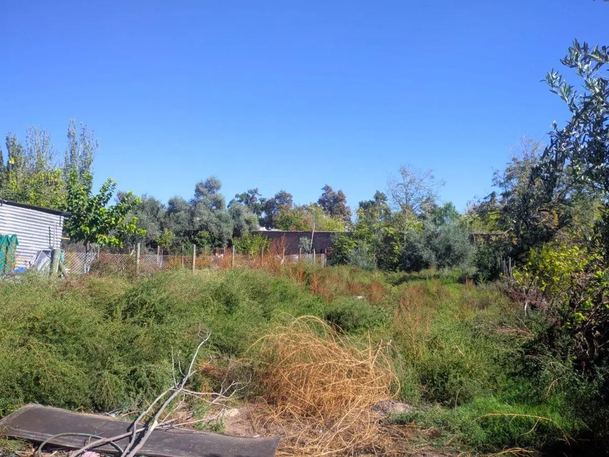 VENDO CASA 42 m2 TERRENO 828 m2 5
