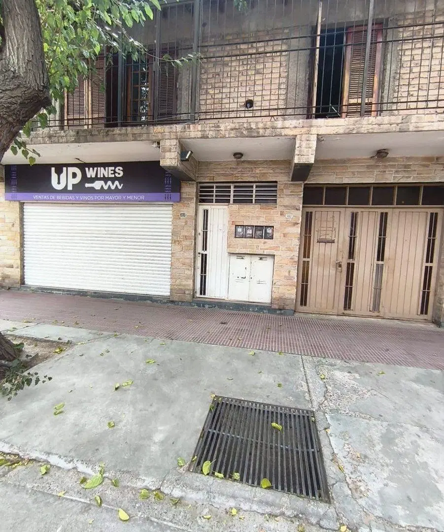 DEPARTAMENTO + LOCAL + CASA 2