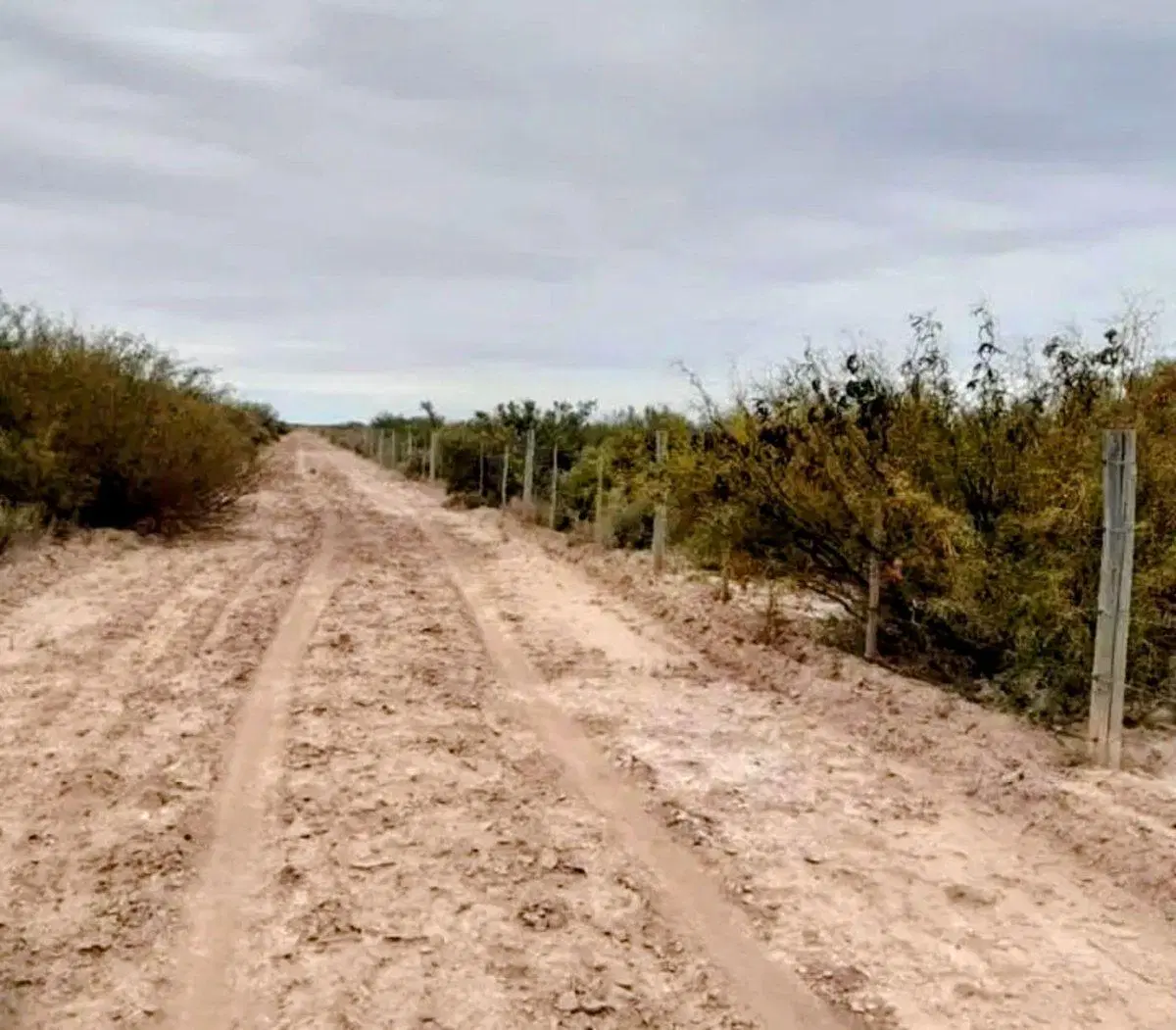 Remax Vende Campo 3