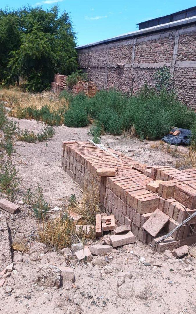 Foto de LOTE EN CUARTA SECCIÓN, CAPITAL, MENDOZA., imagen 2