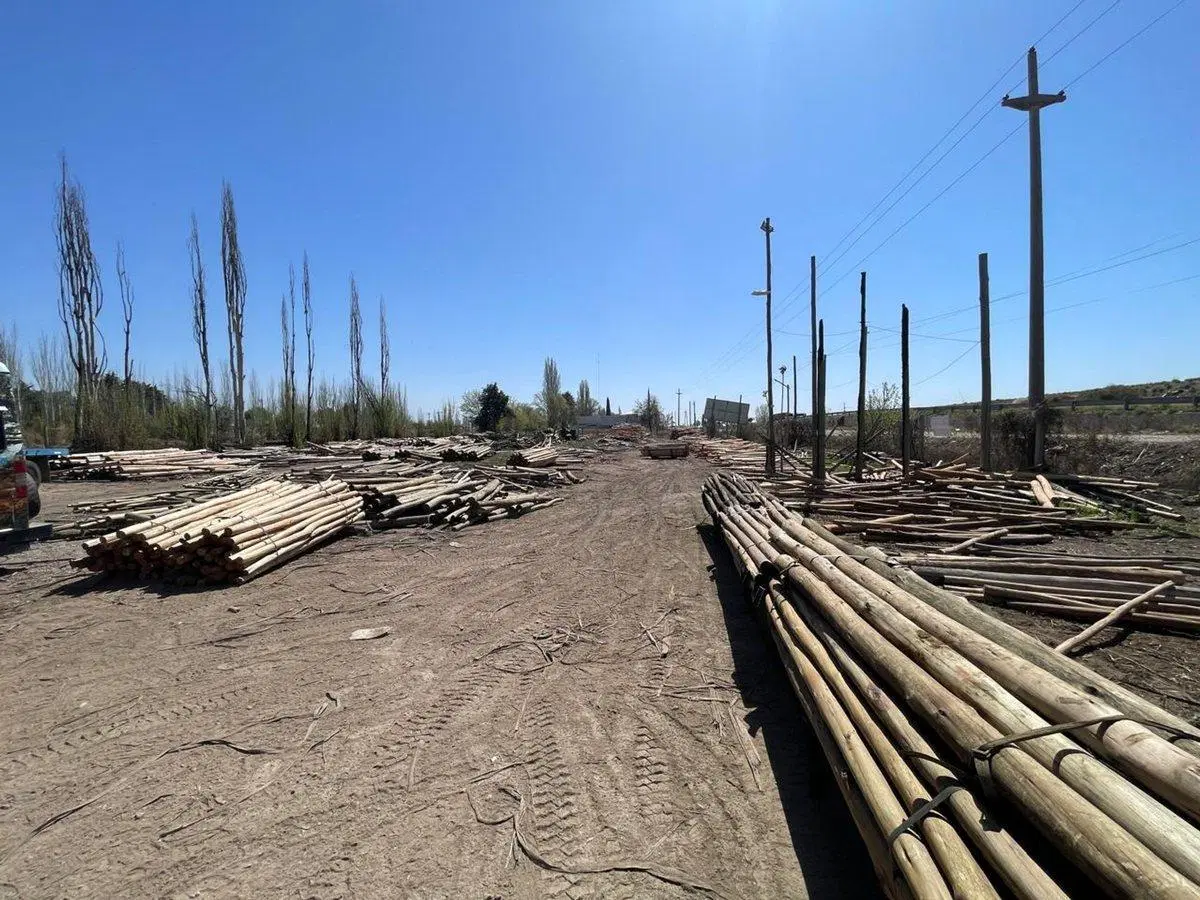 REMAX VENDE LOTE DE 4200 m2 SOBRE ACCESO SUR 2