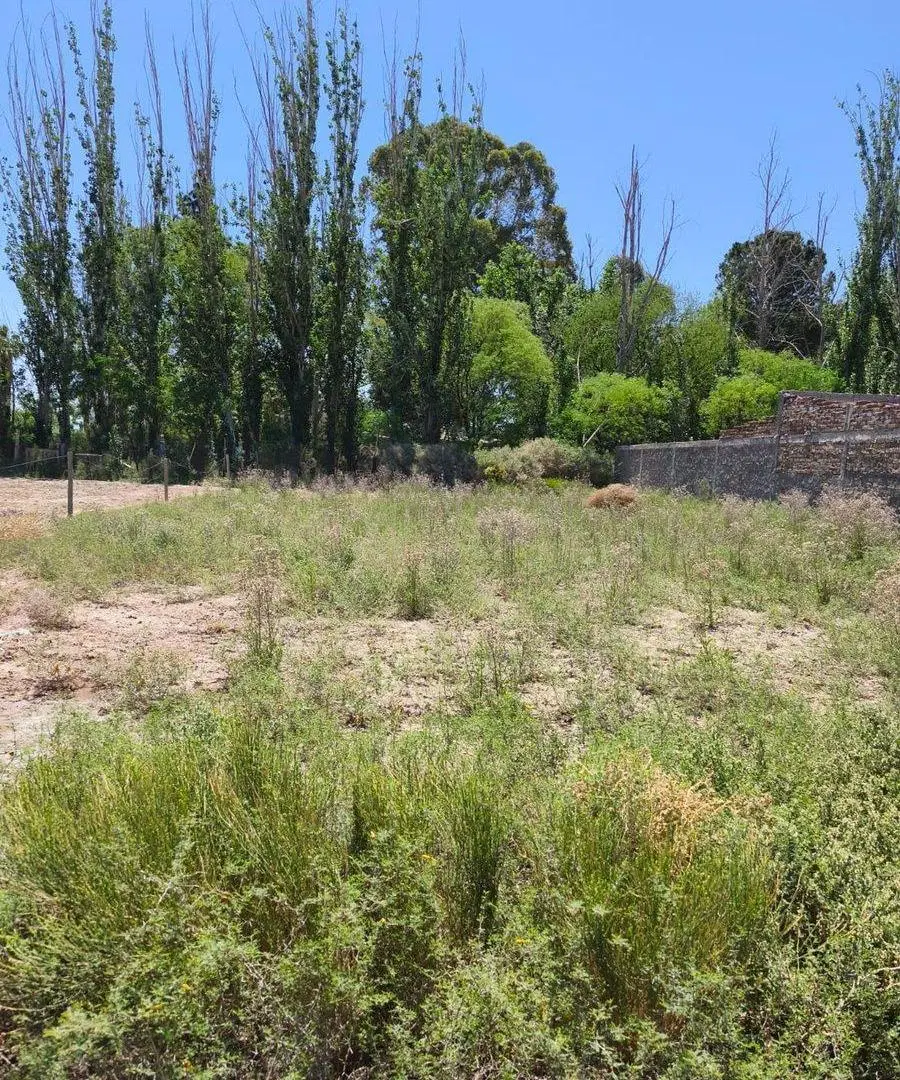 VENTA DE TERRENO 800m CALLE MILAGROS GUAYMALLEN 2