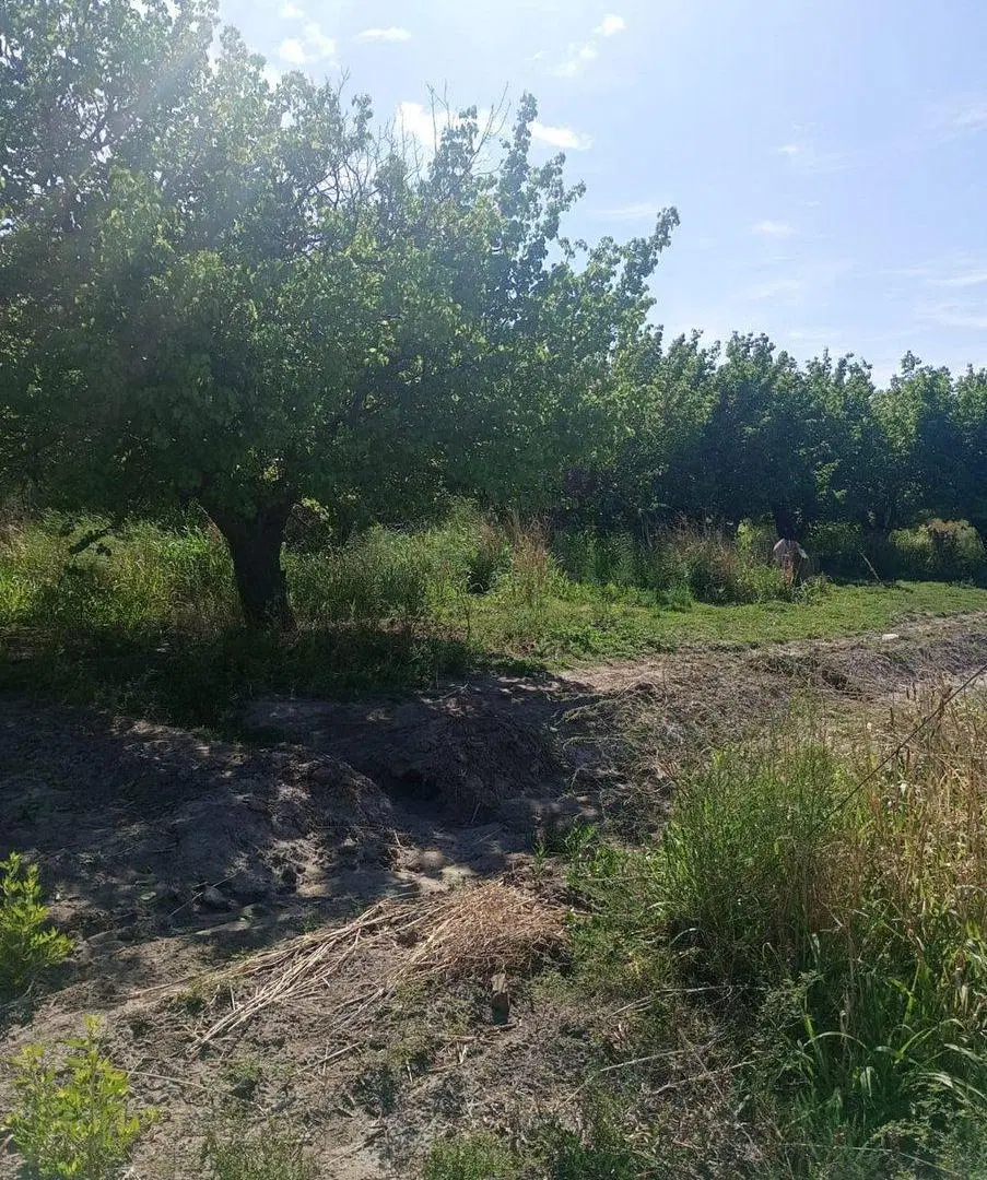 Finca Apta Urbanización Las Catitas, Santa Rosa 8