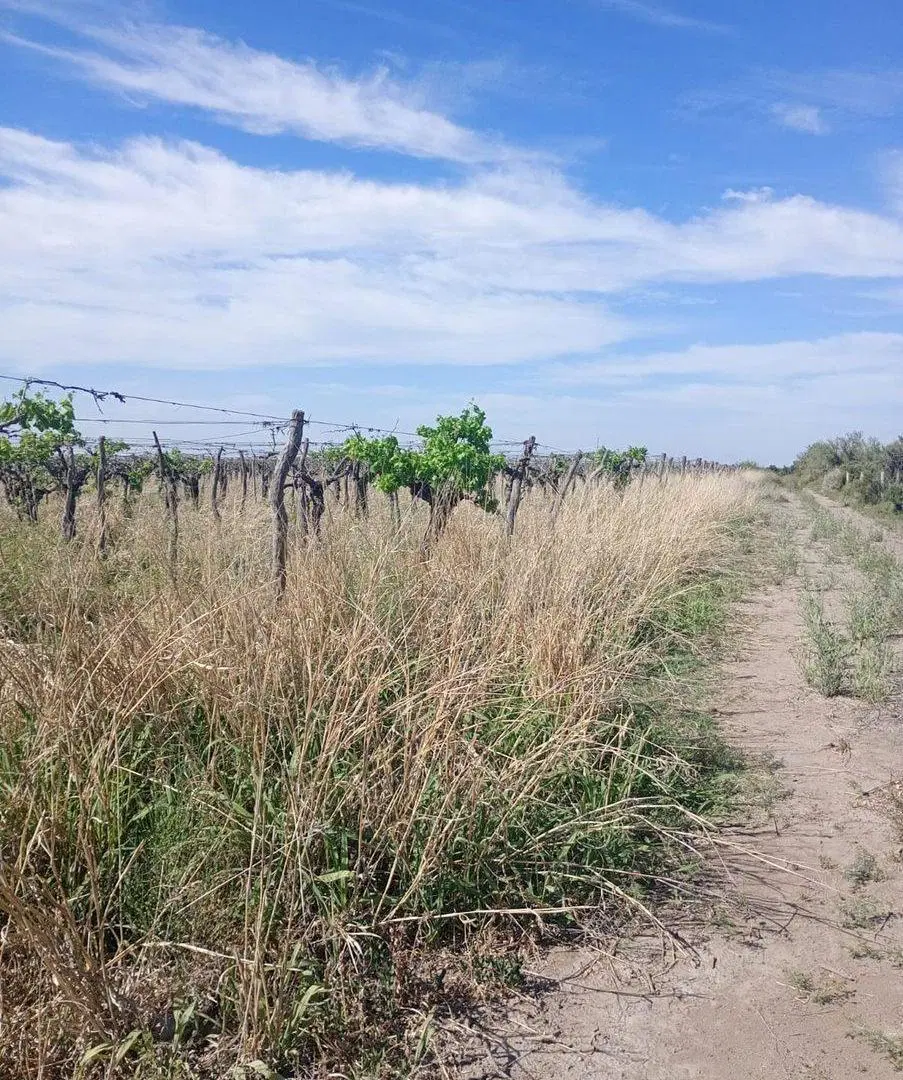 Finca Apta Urbanización Las Catitas, Santa Rosa 3