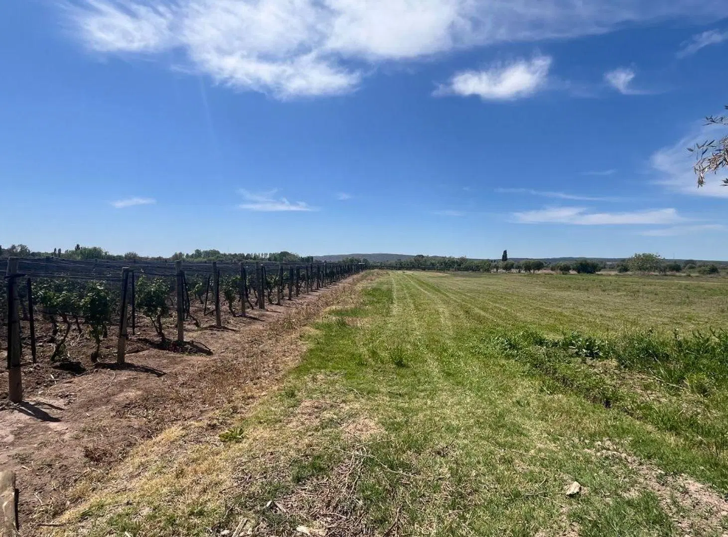VENTA TERRENO INTERNO EN PERDRIEL 7.000m2 2