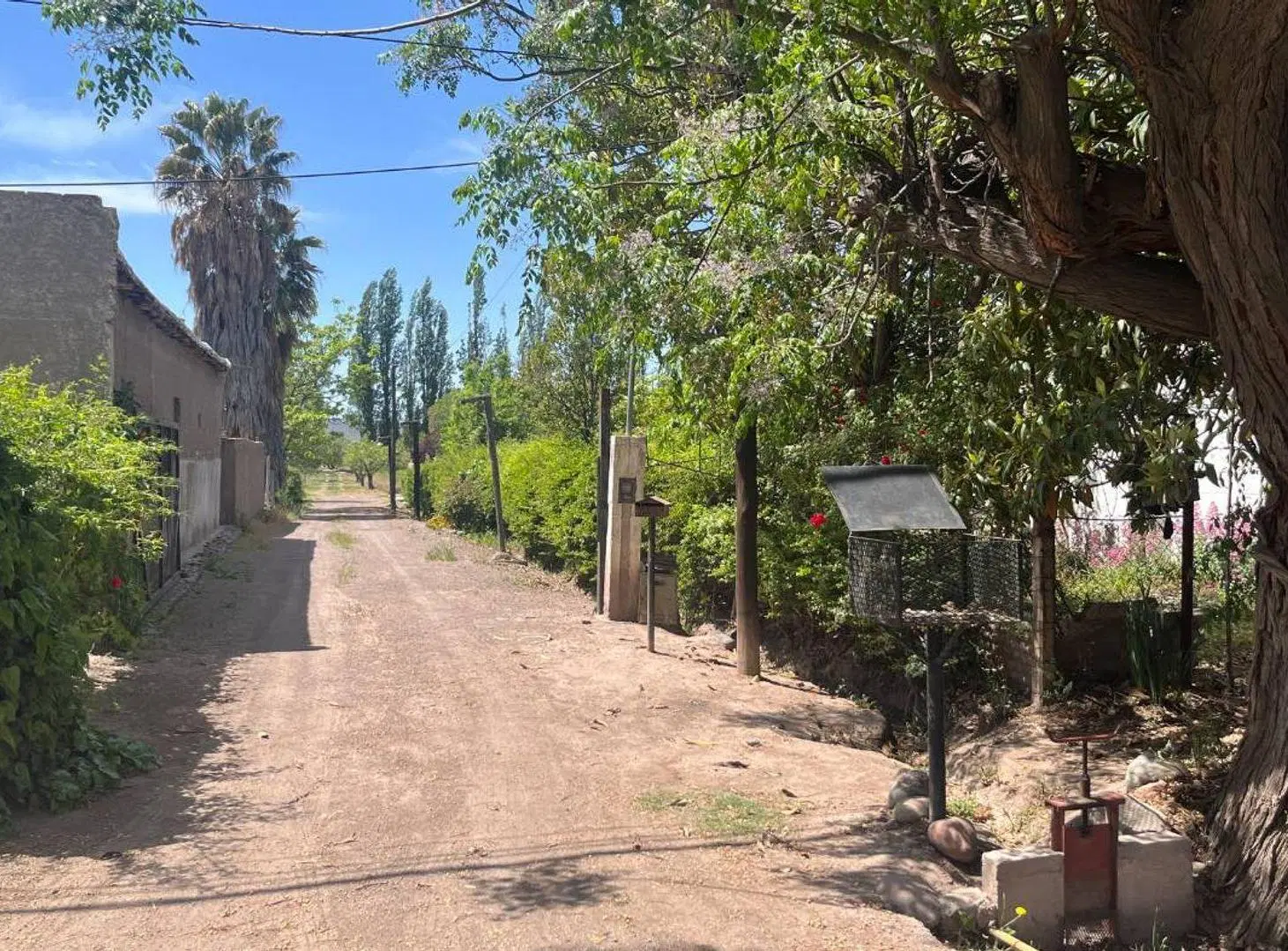 VENTA TERRENO INTERNO EN PERDRIEL 7.000m2 5