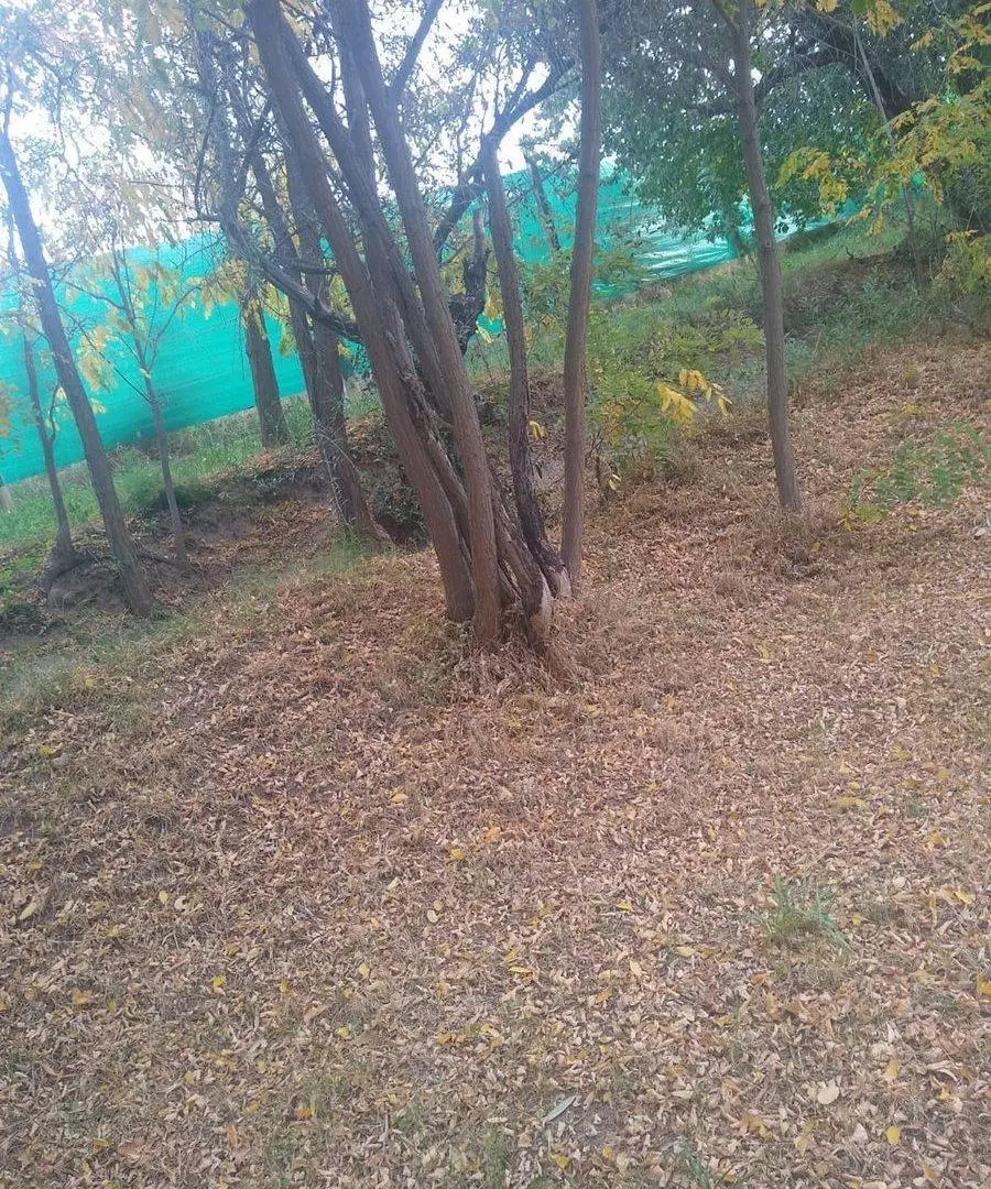 TERRENO,IDEAL INVERSIÓN, CARRIL NORTE SAN MARTíN 5