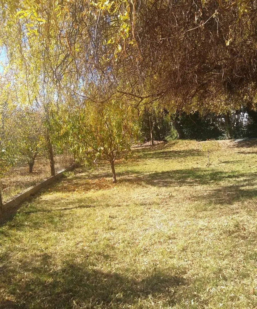 FINCA DE FRUTALES, CARRIL NORTE SAN MARTÍN 4
