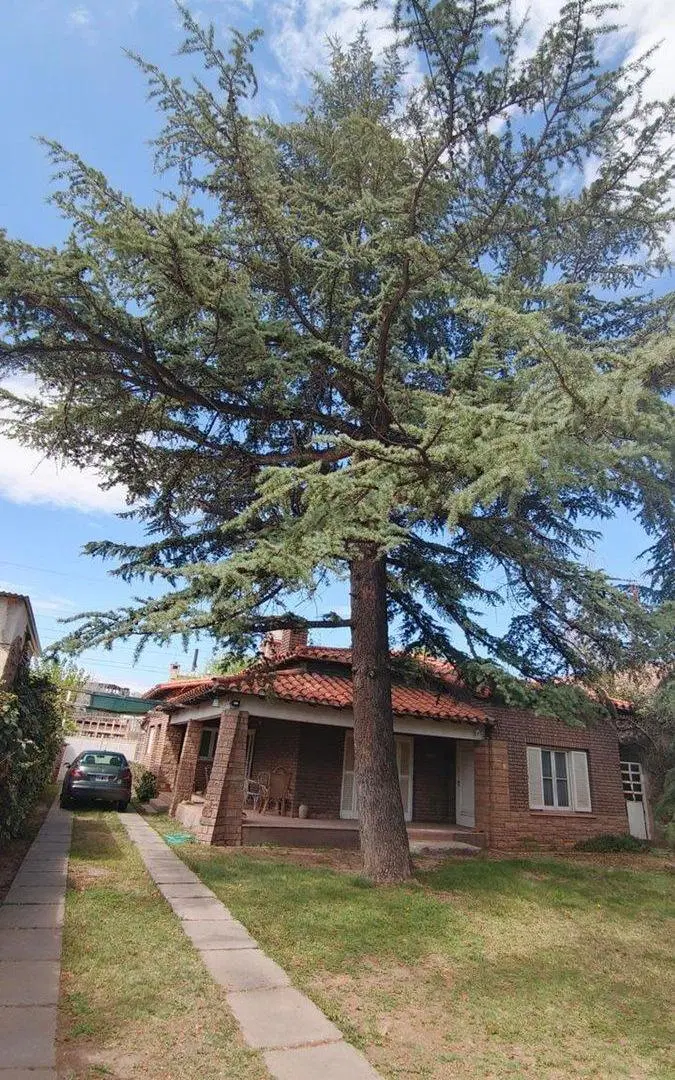 REMAX VENDIMIA VENDE CASA EN CHACRAS DE CORIA 3