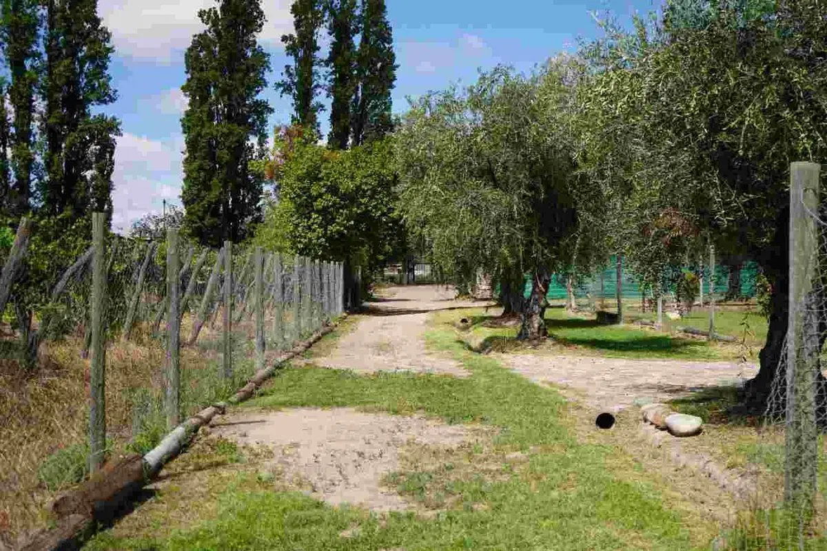 TERRENO EN VENTA, 4.965m2 RUSSELL, MAIPÚ 2