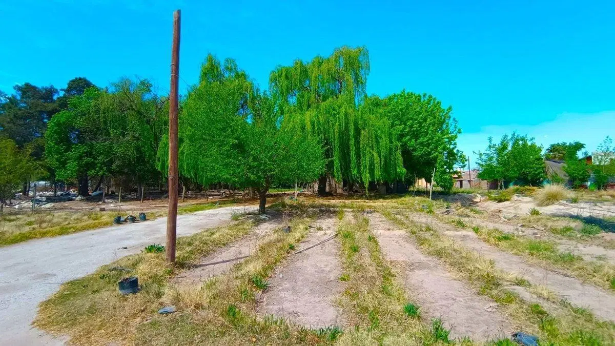 REMAX VENDE INMEJORABLE TERRENO EN LUJAN DE CUYO 2