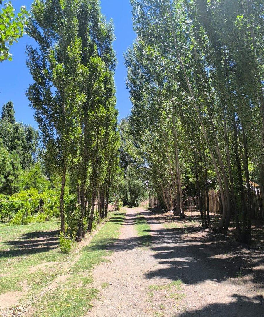 Terreno en Venta en Uspallata 3.000 m²