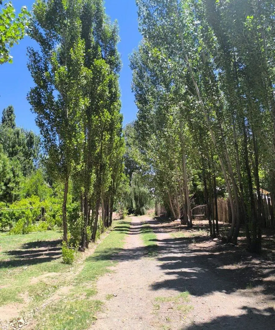 Terreno en Venta en Uspallata 3.000 m² 2