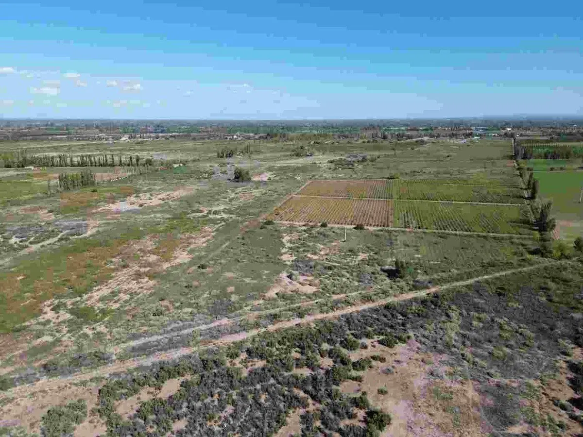 VENTA FINCA LAS HERAS, MENDOZA 2