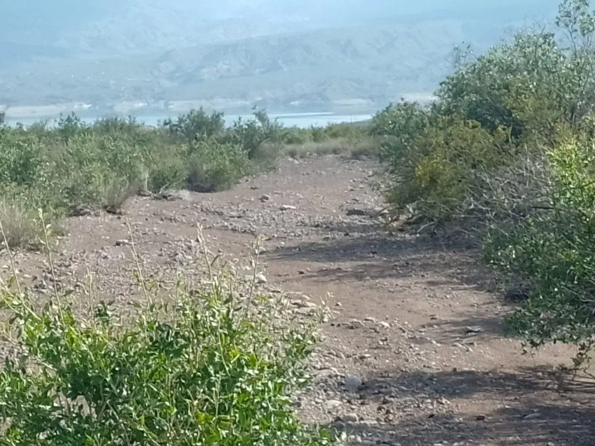 VENTA TERRENO 5000 EN POTRERILLOS 2