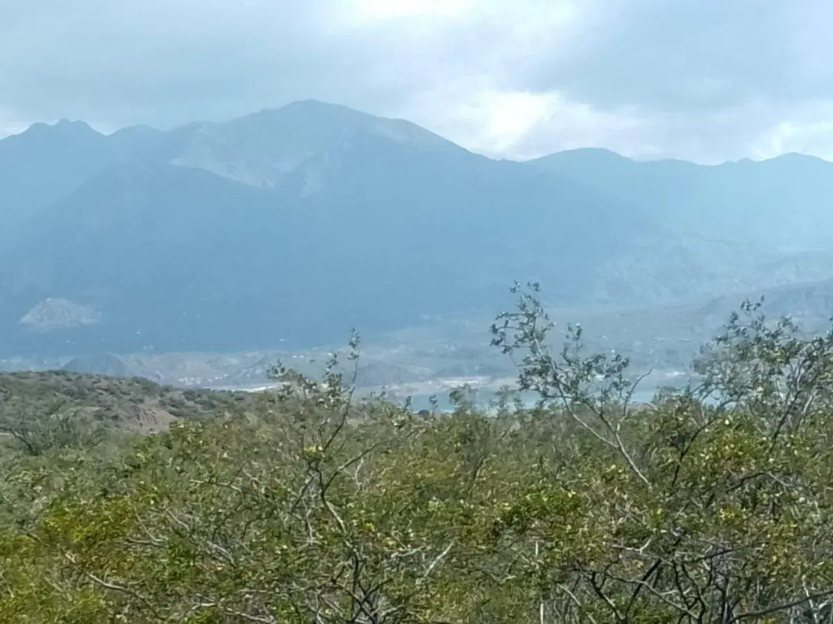 VENTA TERRENO 5000 EN POTRERILLOS 4