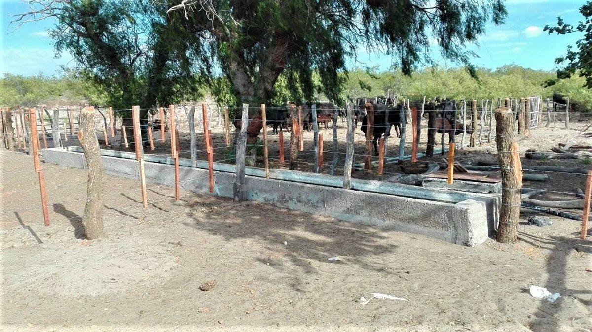 REMAX VENDIMIA VENDE CAMPO GANADERO EN SAN RAFAEL