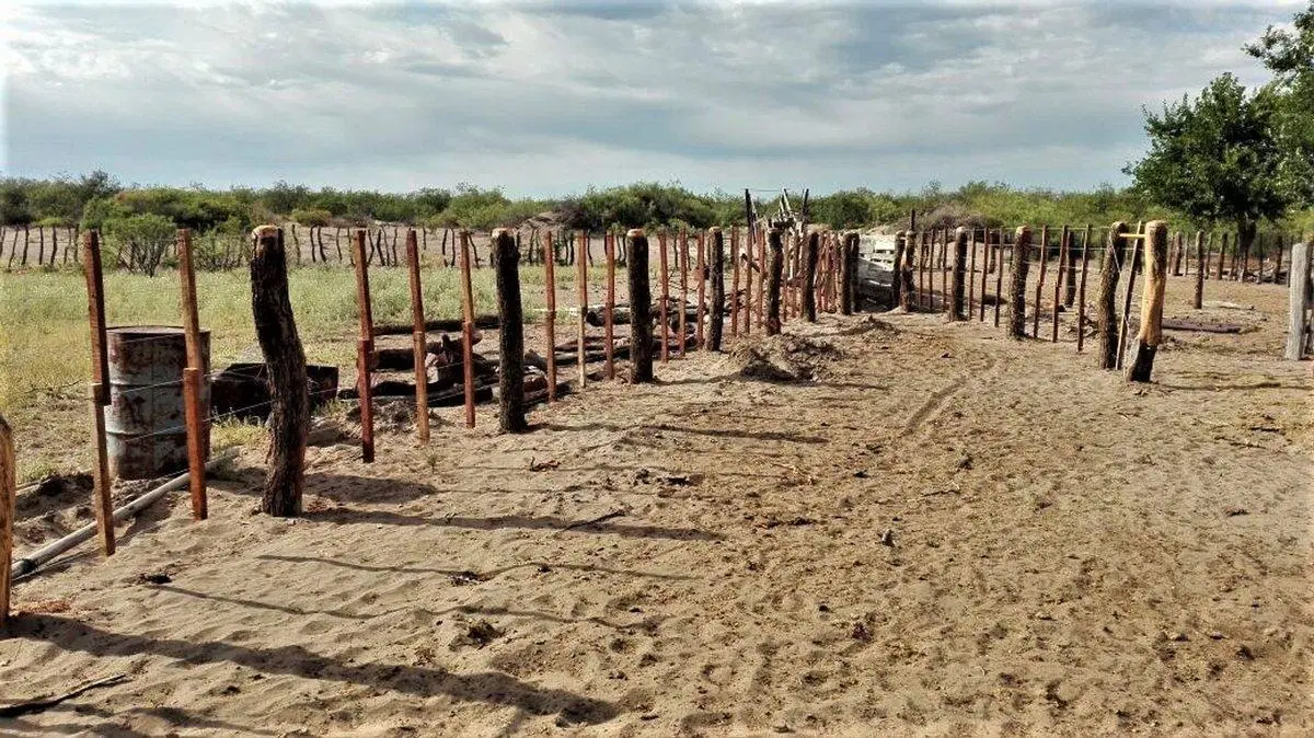 REMAX VENDIMIA VENDE CAMPO GANADERO EN SAN RAFAEL 5