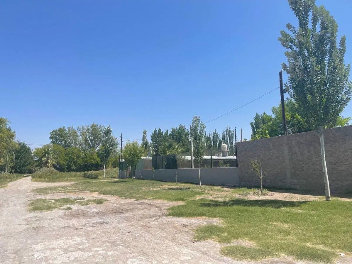LOTE 5000m CALLE MIRALLES 1KM DE S. DEL CASTILLO, 5