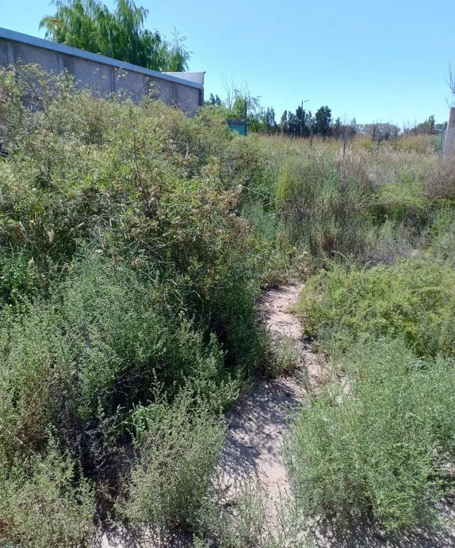 Vendo Lote Barrio Privado Guaymallén 3