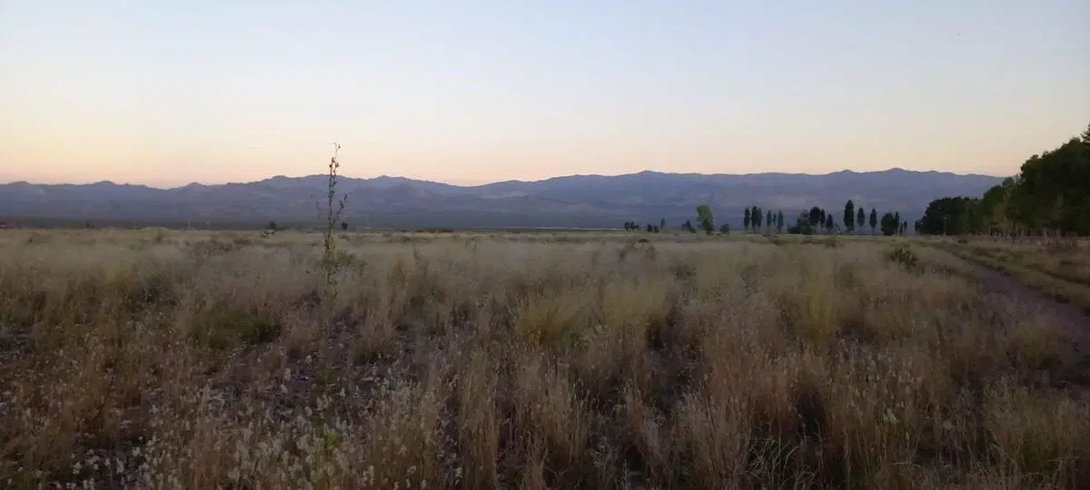 LOTE EN VENTA EN SAN ALBERTO USPALLATA MENDOZA. 3