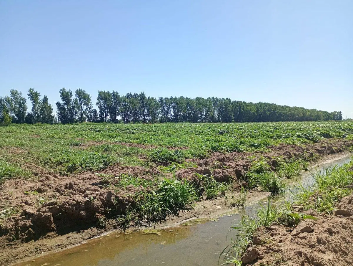 VENTA DE FINCA 8 HS EN LAS HERAS, MENDOZA 3