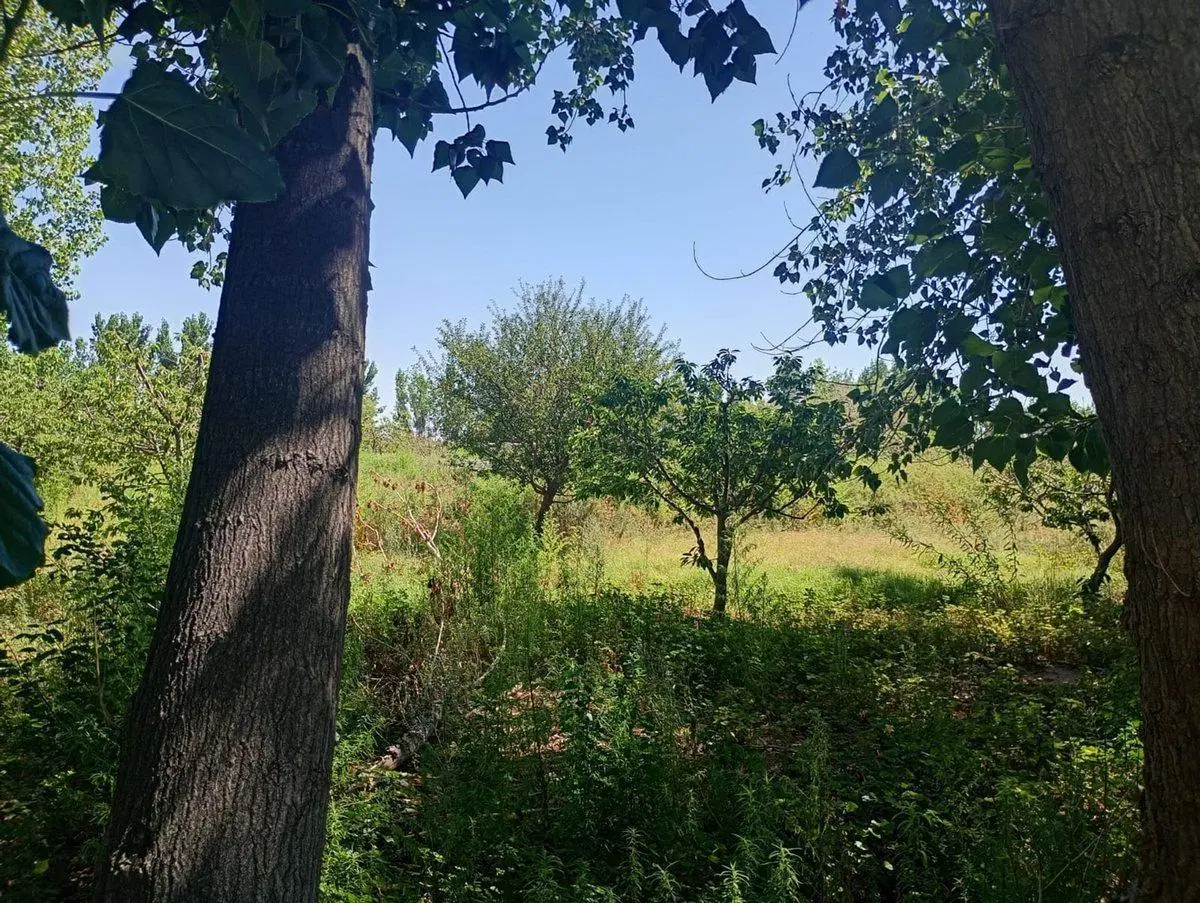 VENTA DE FINCA 8 HS EN LAS HERAS, MENDOZA 2